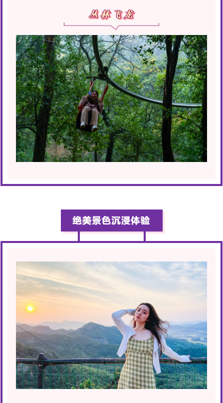 午夜熟女插插XX免费视频