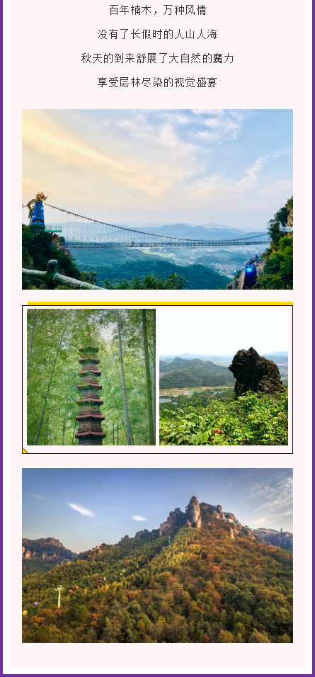 午夜熟女插插XX免费视频