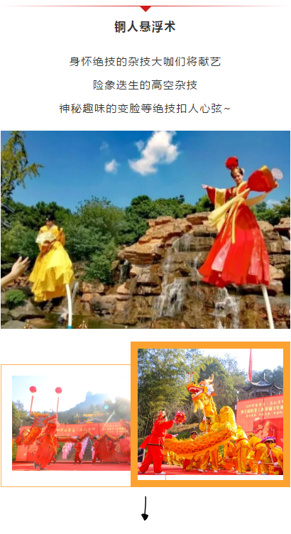 午夜熟女插插XX免费视频