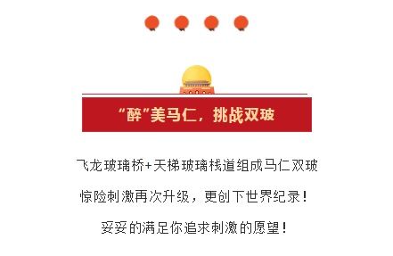 午夜熟女插插XX免费视频