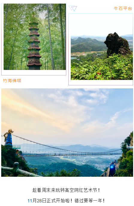 午夜熟女插插XX免费视频