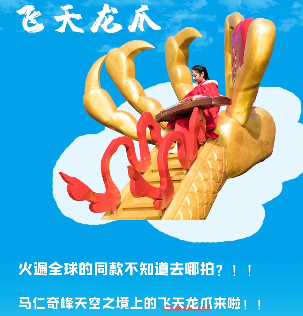 午夜熟女插插XX免费视频