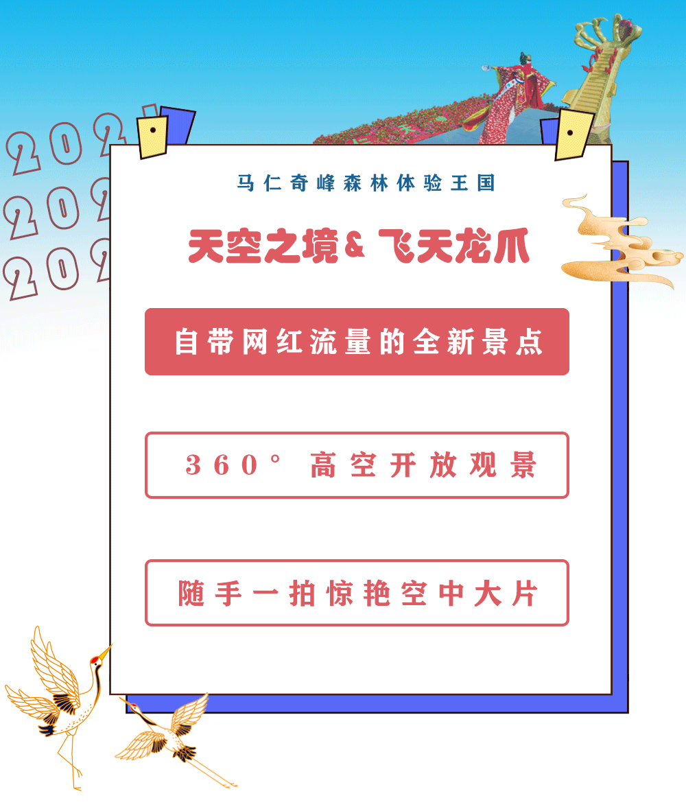 午夜熟女插插XX免费视频