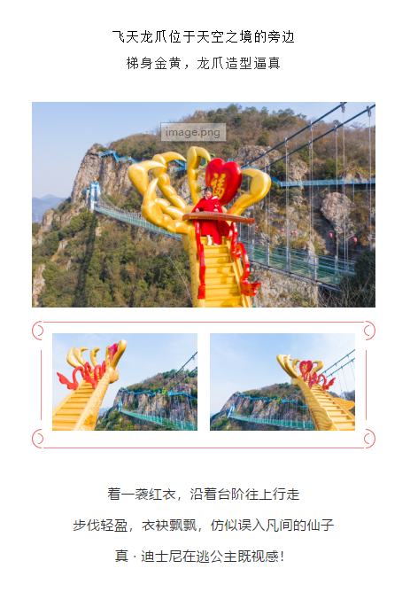 午夜熟女插插XX免费视频