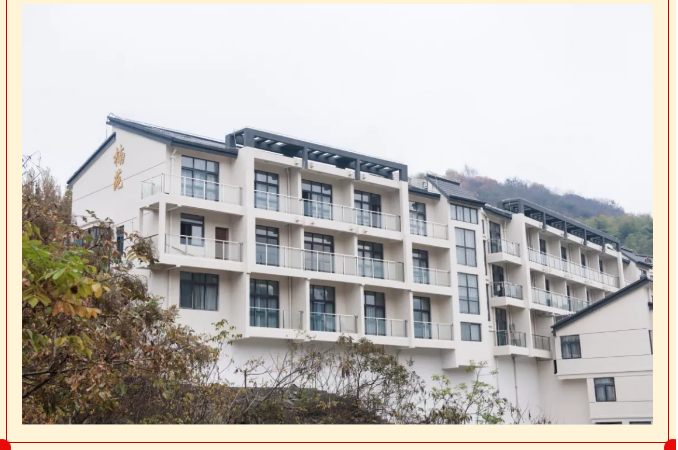 午夜熟女插插XX免费视频