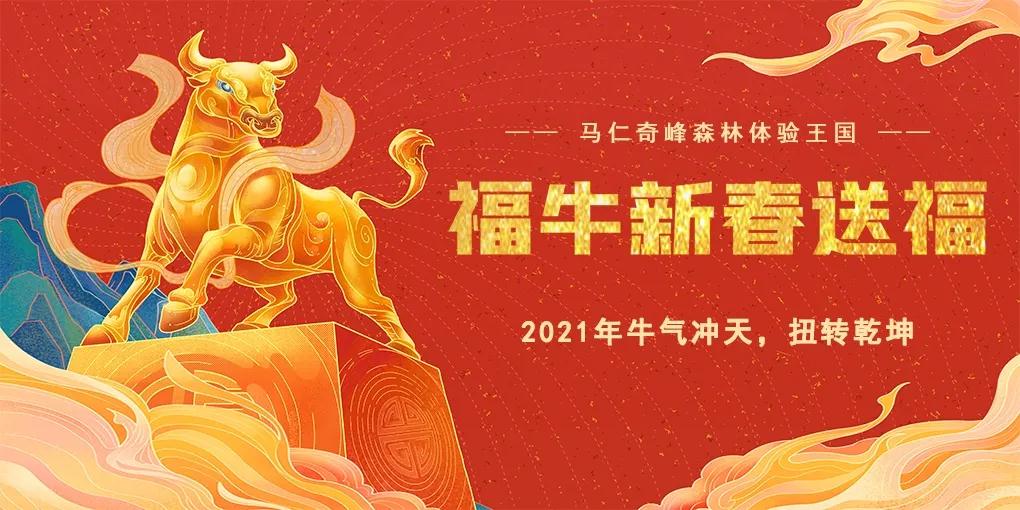 午夜熟女插插XX免费视频