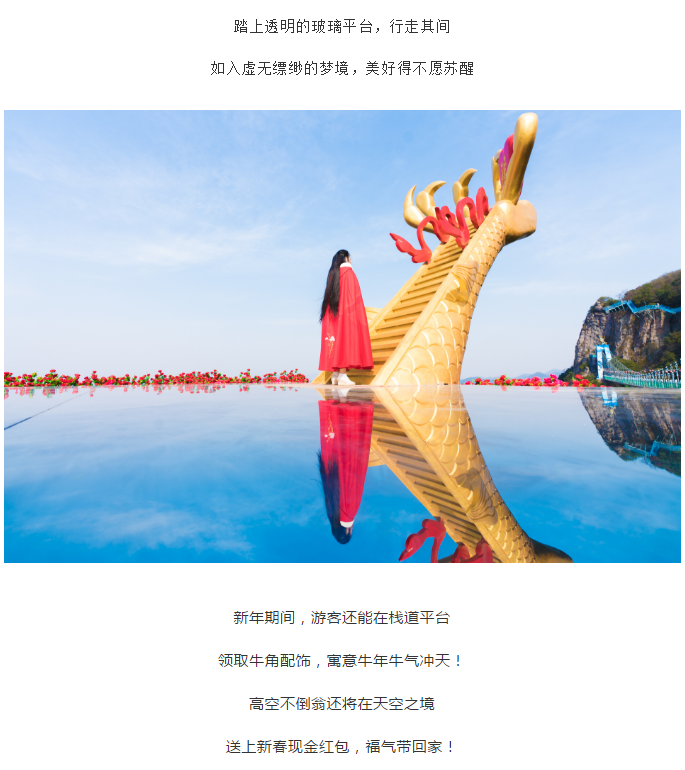 午夜熟女插插XX免费视频