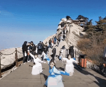 午夜熟女插插XX免费视频