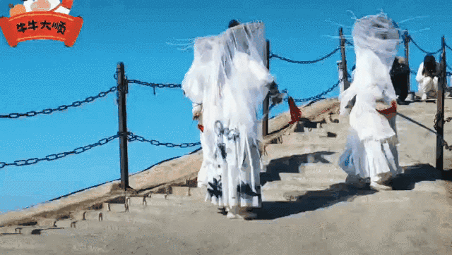 午夜熟女插插XX免费视频