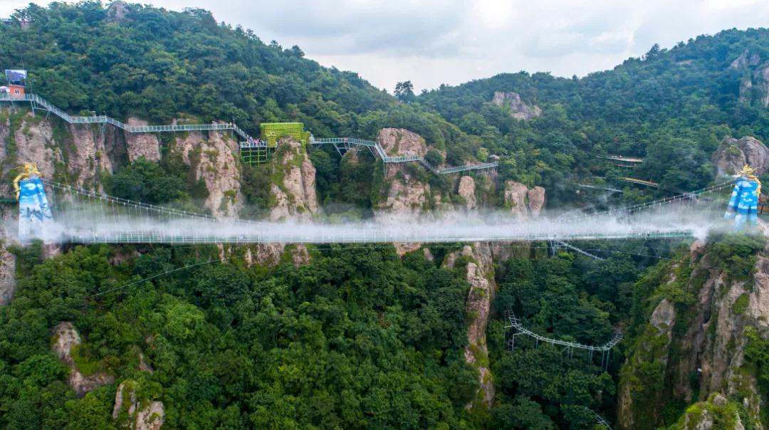 午夜熟女插插XX免费视频