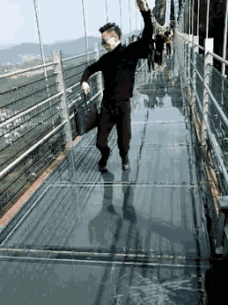 午夜熟女插插XX免费视频