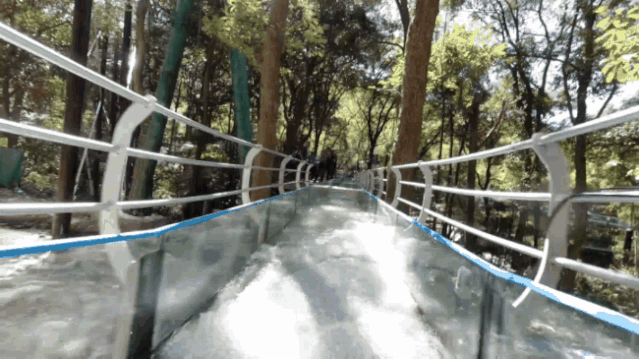 午夜熟女插插XX免费视频