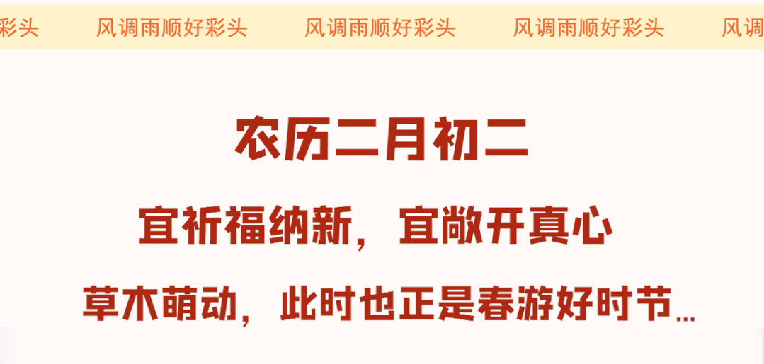 午夜熟女插插XX免费视频