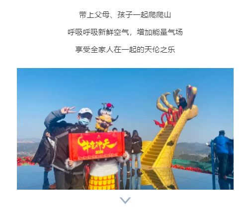 午夜熟女插插XX免费视频