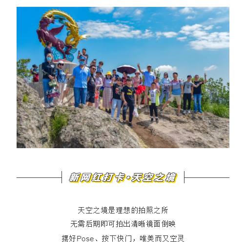 午夜熟女插插XX免费视频