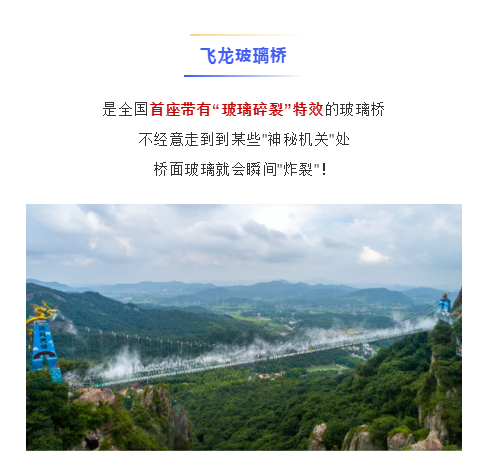 午夜熟女插插XX免费视频