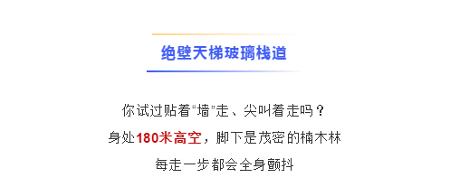 午夜熟女插插XX免费视频