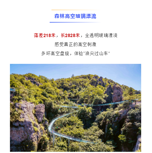 午夜熟女插插XX免费视频