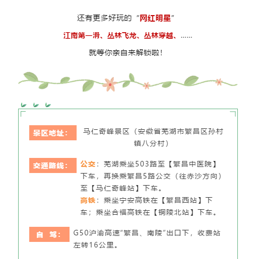 午夜熟女插插XX免费视频