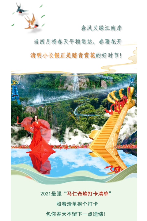 午夜熟女插插XX免费视频