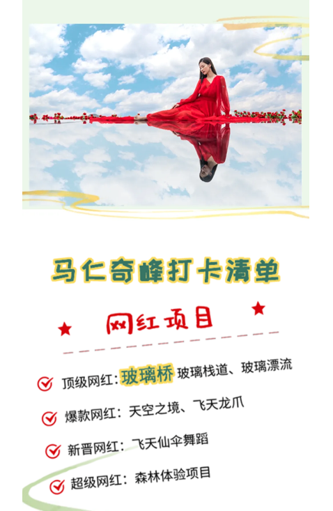 午夜熟女插插XX免费视频