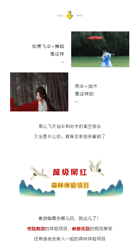 午夜熟女插插XX免费视频