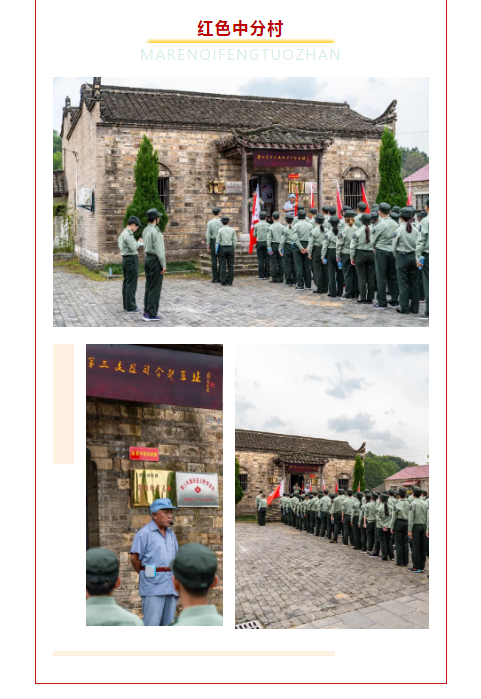 午夜熟女插插XX免费视频