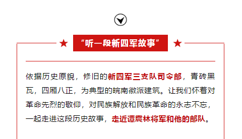 午夜熟女插插XX免费视频