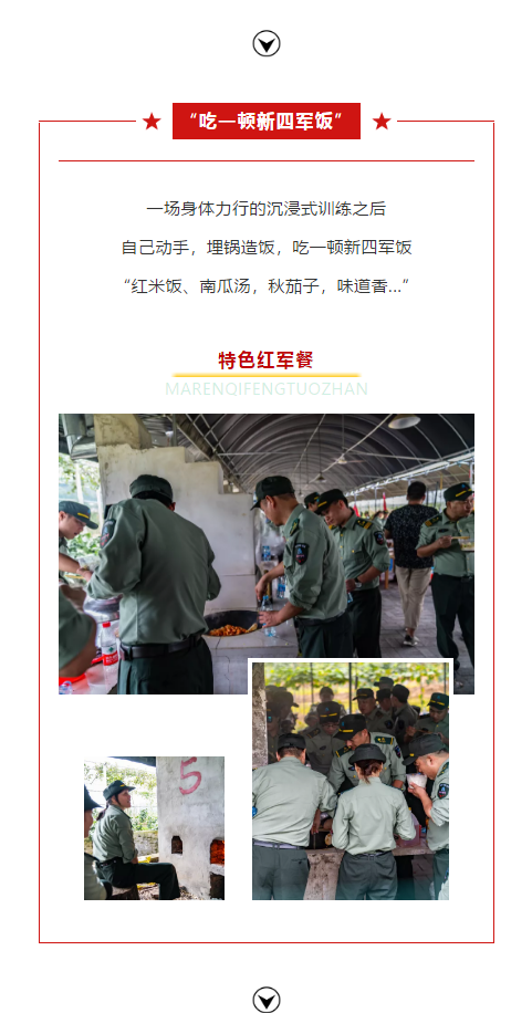 午夜熟女插插XX免费视频