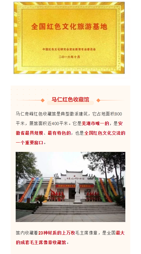 午夜熟女插插XX免费视频