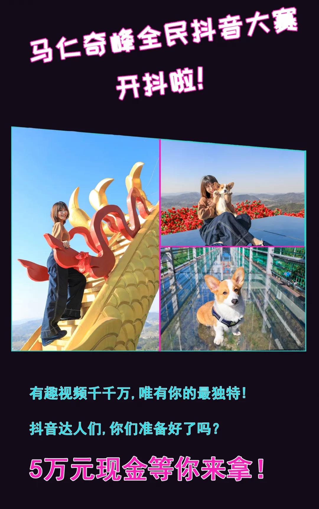 午夜熟女插插XX免费视频