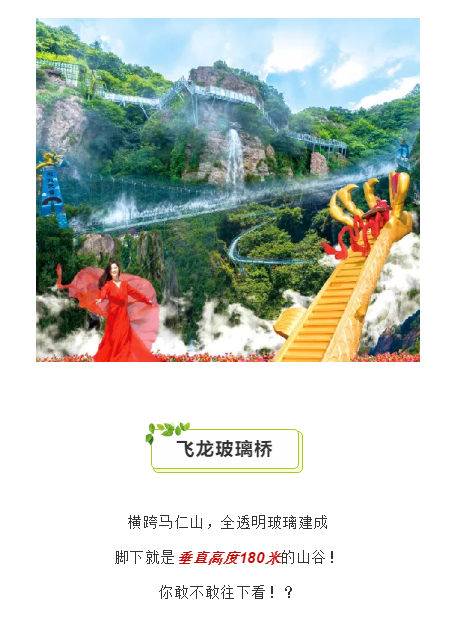 午夜熟女插插XX免费视频