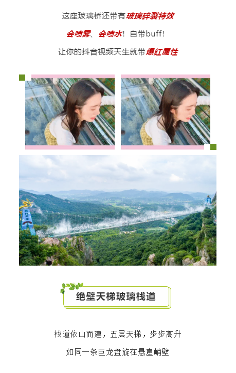 午夜熟女插插XX免费视频