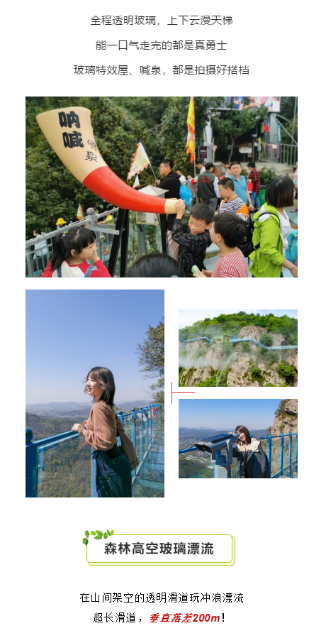 午夜熟女插插XX免费视频