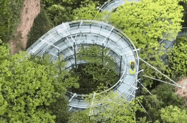 午夜熟女插插XX免费视频