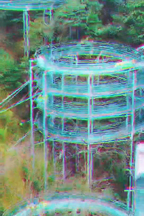 午夜熟女插插XX免费视频