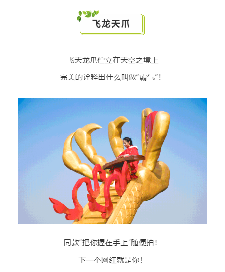 午夜熟女插插XX免费视频