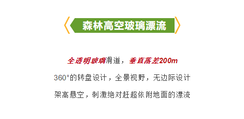 午夜熟女插插XX免费视频