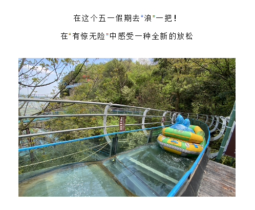 午夜熟女插插XX免费视频