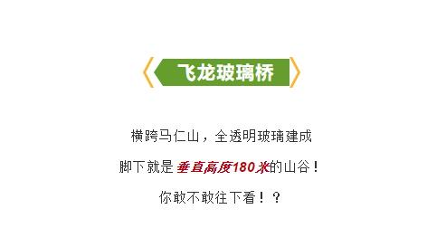 午夜熟女插插XX免费视频