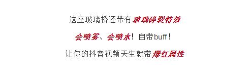 午夜熟女插插XX免费视频