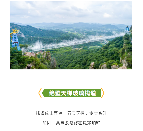 午夜熟女插插XX免费视频