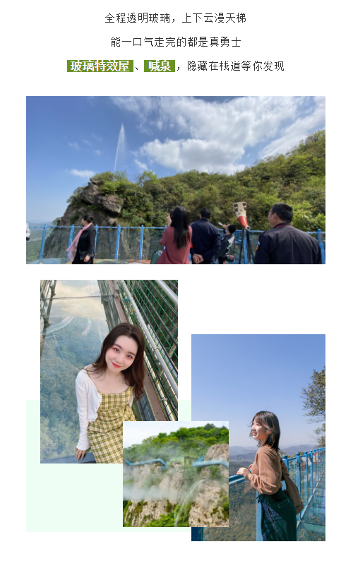 午夜熟女插插XX免费视频