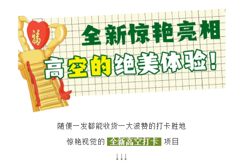 午夜熟女插插XX免费视频