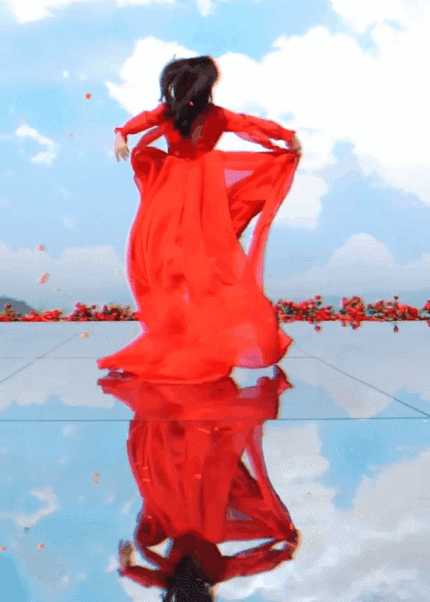 午夜熟女插插XX免费视频