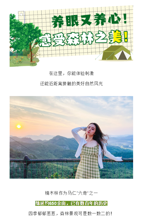 午夜熟女插插XX免费视频