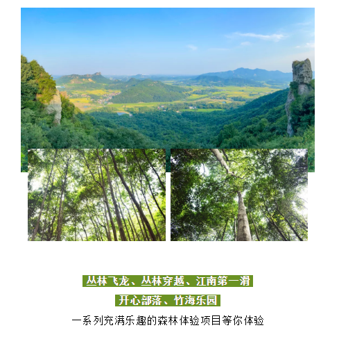 午夜熟女插插XX免费视频