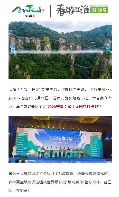 午夜熟女插插XX免费视频