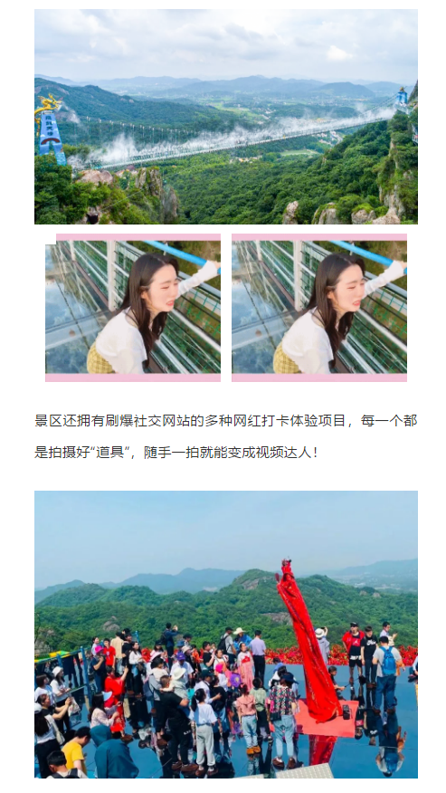 午夜熟女插插XX免费视频