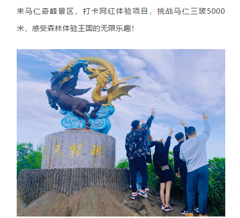 午夜熟女插插XX免费视频